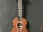 LaVa brand 21 inch Ukulele for professional saund