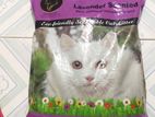 Lavender Scented Litter sell