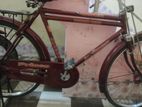 Bicycle for sell