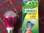 LED Lamp 7 Watt