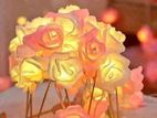 LED Rose golden lights