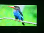 LED Smart Tv