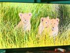 Led Tv