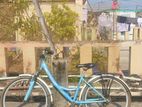 Duranta Bicycle for sale