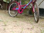 Bicycle for Sale