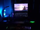 Lenovo Thinkpad T495s 8gb 256gb Ssd Shared 2gb Graphics Amd