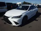 Lexus ES 300H F Sports Pearl 2020