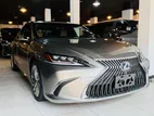 Lexus ES 300H READY SHOWROOM 2020