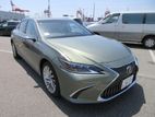 Lexus ES 300h Version L 2019