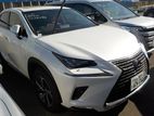 Lexus NX - 2019