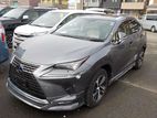 Lexus NX Gray 2020