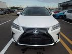 Lexus RX 300 ALL OPTION 2019