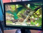 LG 19 Inch Monitor///Full Fresh