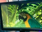 LG 19 inch Monitor/Full Fresh