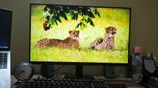 Lg 27 Inch 100hz Monitor with Warranty