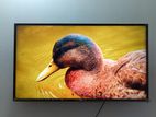 Lg 43" Full Smart Tv 4k Voice Control (With Box)