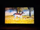 Lg 43" Smart Tv 4k Voice Control (with Magic Remote And Box)