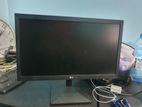 Lg Monitor