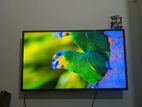 LG UHD SMART YV