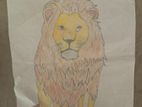 Lion Drawing