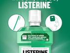 Listerine Freshburst Antiseptic Mouthwash Convenience Pack 1pac 250 ml