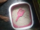 litter box or coziecat 3kg + for sale
