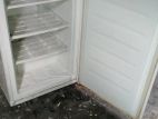 lomba deep freezer