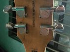 LTD ec-10 Guitar