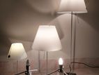 Luceplan Lamps (Original Italian Brand)