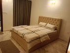 Luxurious 3800 Sqft Apt: For Rent in Gulshan