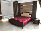 Luxurious Apartment For Rent