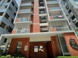 Luxurious Apartments for Rent in Bashundhara