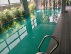 Luxurious Brand New Apartment Rent with Gym -Swimming pool