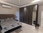 Luxurious Full Farnised Flat Rent In Gulshan 2