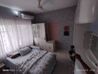 Luxury furnished apartment in banani
