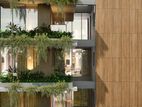 Luxury modern Apartment Limited opportunity