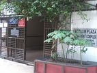 Luxury Semi Furnished Apartment