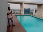 Luxury Swimming Pool Furnished Flat For Rent