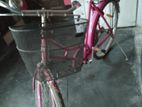 Bicycle for sale