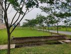M block 10 katha South face plot sell