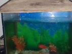 Aquarium For Sell
