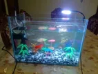 মাছের একোরিয়াম বিক্রি হবে ।