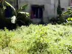 মাদারীপুর পুরান বাজারে ৩ শতাংশ ২০ লিংক জমি বিক্রি হবে!