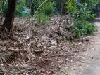মাএ 10 শতাংশ জমি বিক্রয় করা হবে