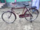 Duranta Bicycle for sale