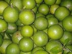মাল্টা লেবু বিক্রয় করা হবে