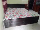 মালয়েশিয়ান উডের খাট