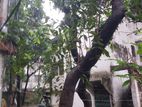 মানিকগঞ্জে বন্ধ জুতা কারখানা বিক্রি