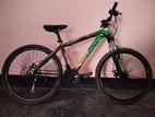 Phoenix Bicycle for sale