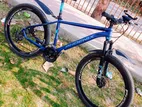 Phoenix Bicycle for sale